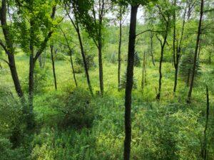 main property photo 42