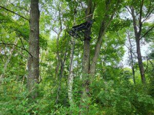 main property photo 44