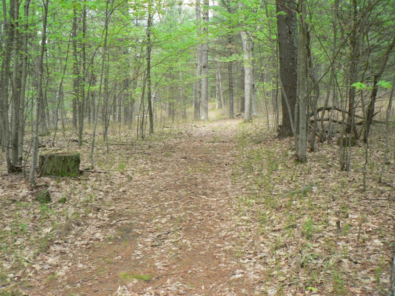 main property photo 51