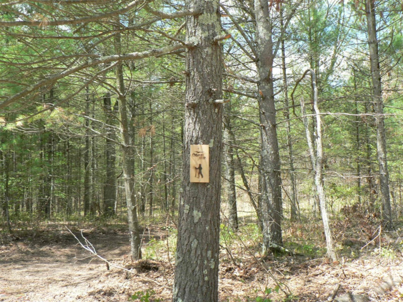 main property photo 53