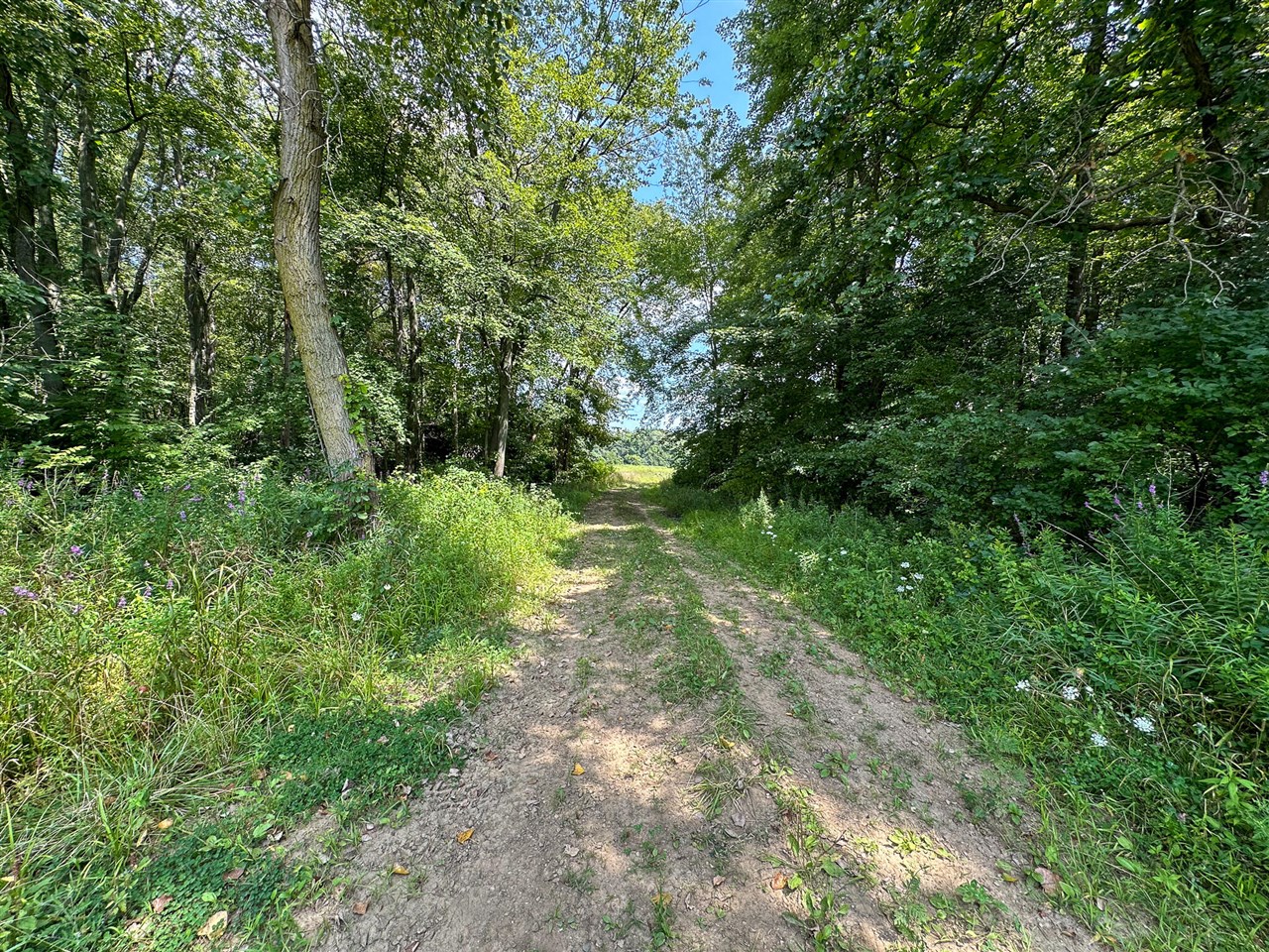 main property photo 23