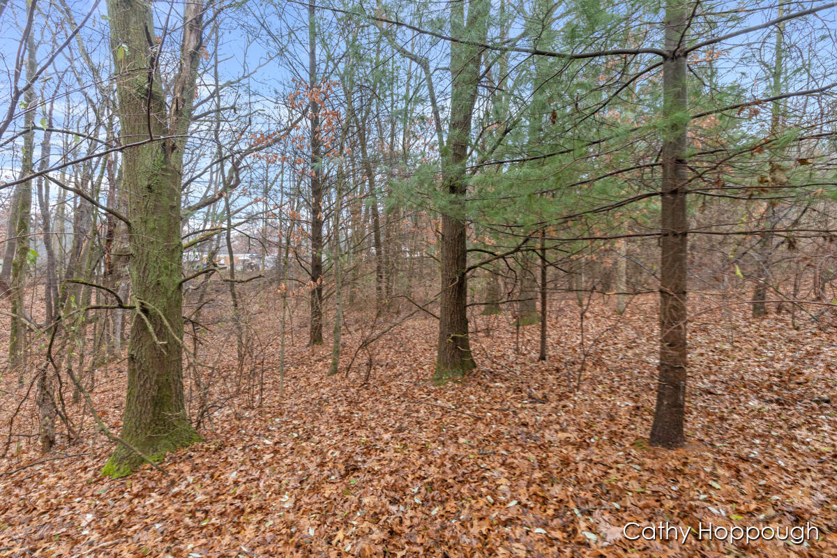 main property photo 18