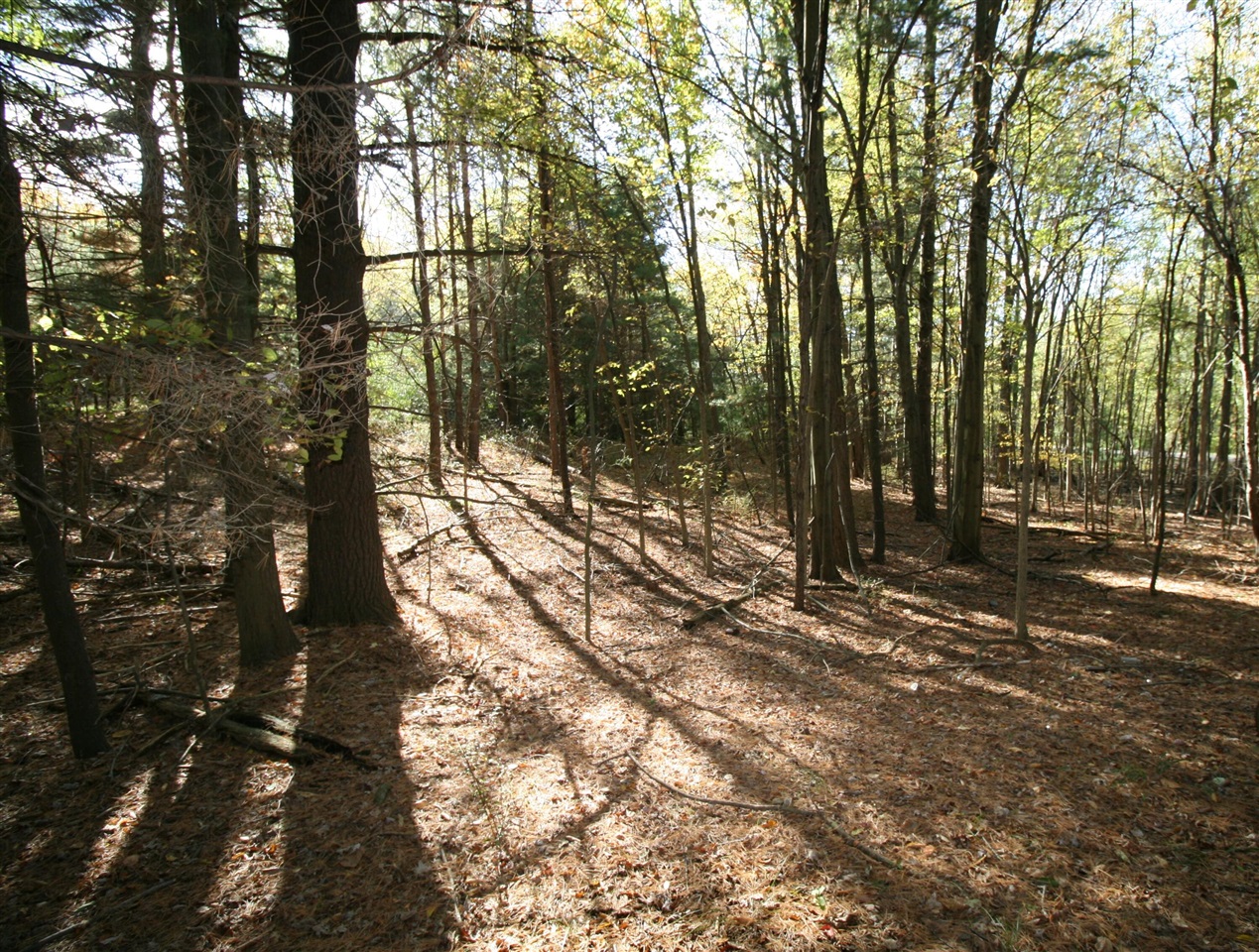 main property photo 17