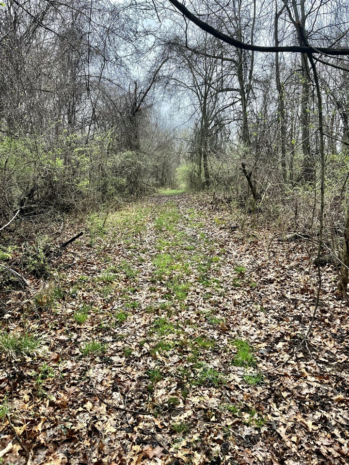 main property photo 19