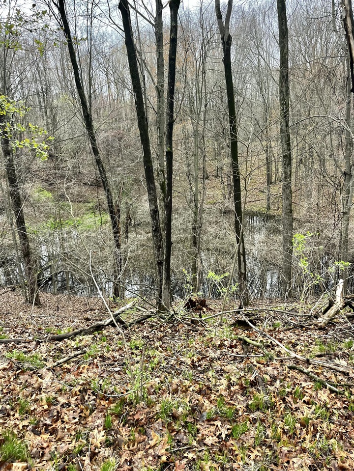 main property photo 29