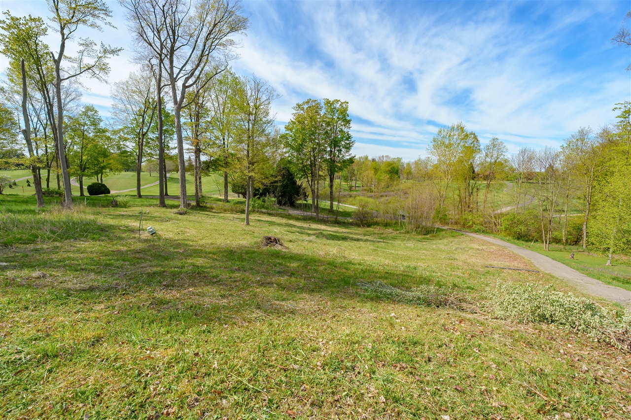 property viewer photo 5