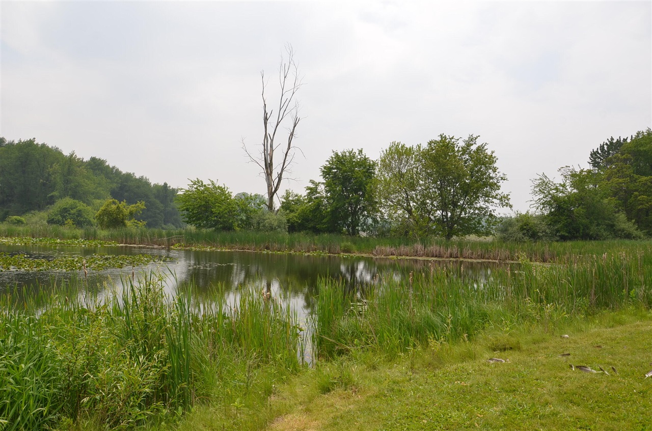 main property photo 54