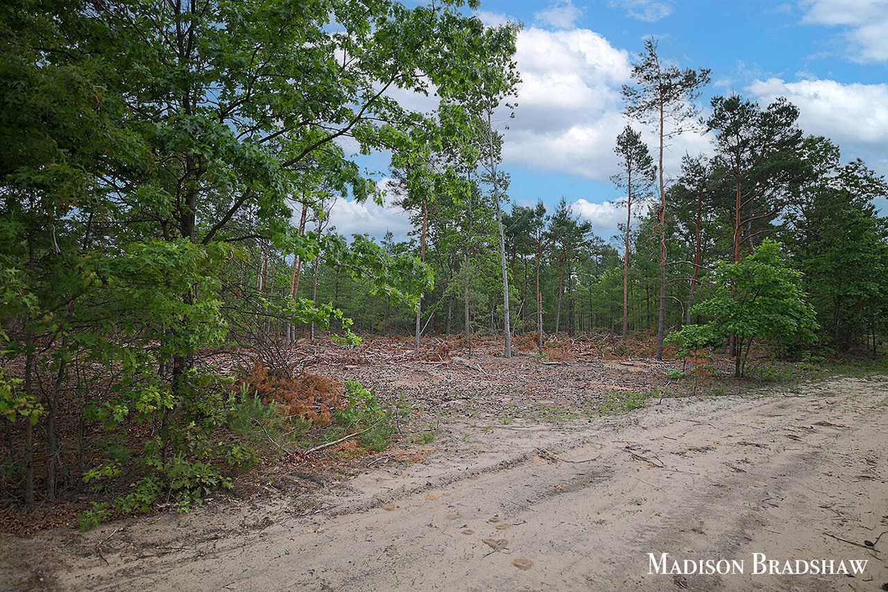 main property photo 13