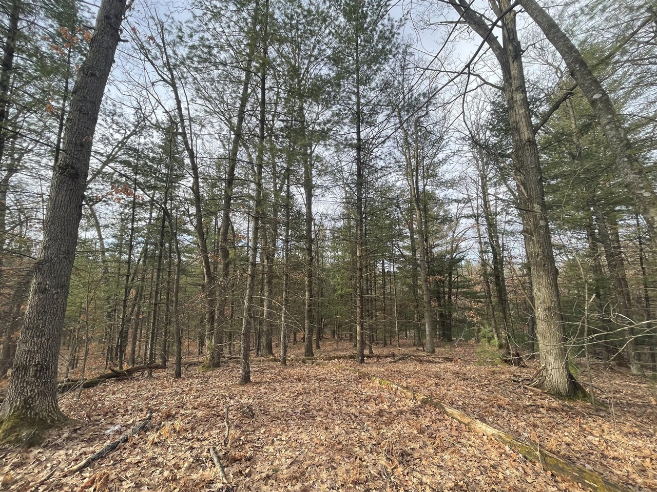 main property photo 15
