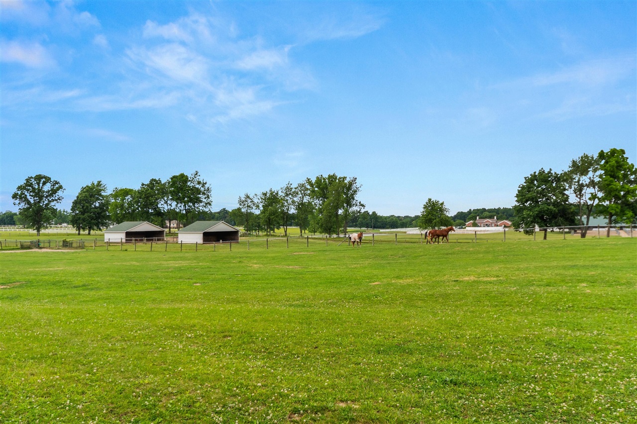 main property photo 67