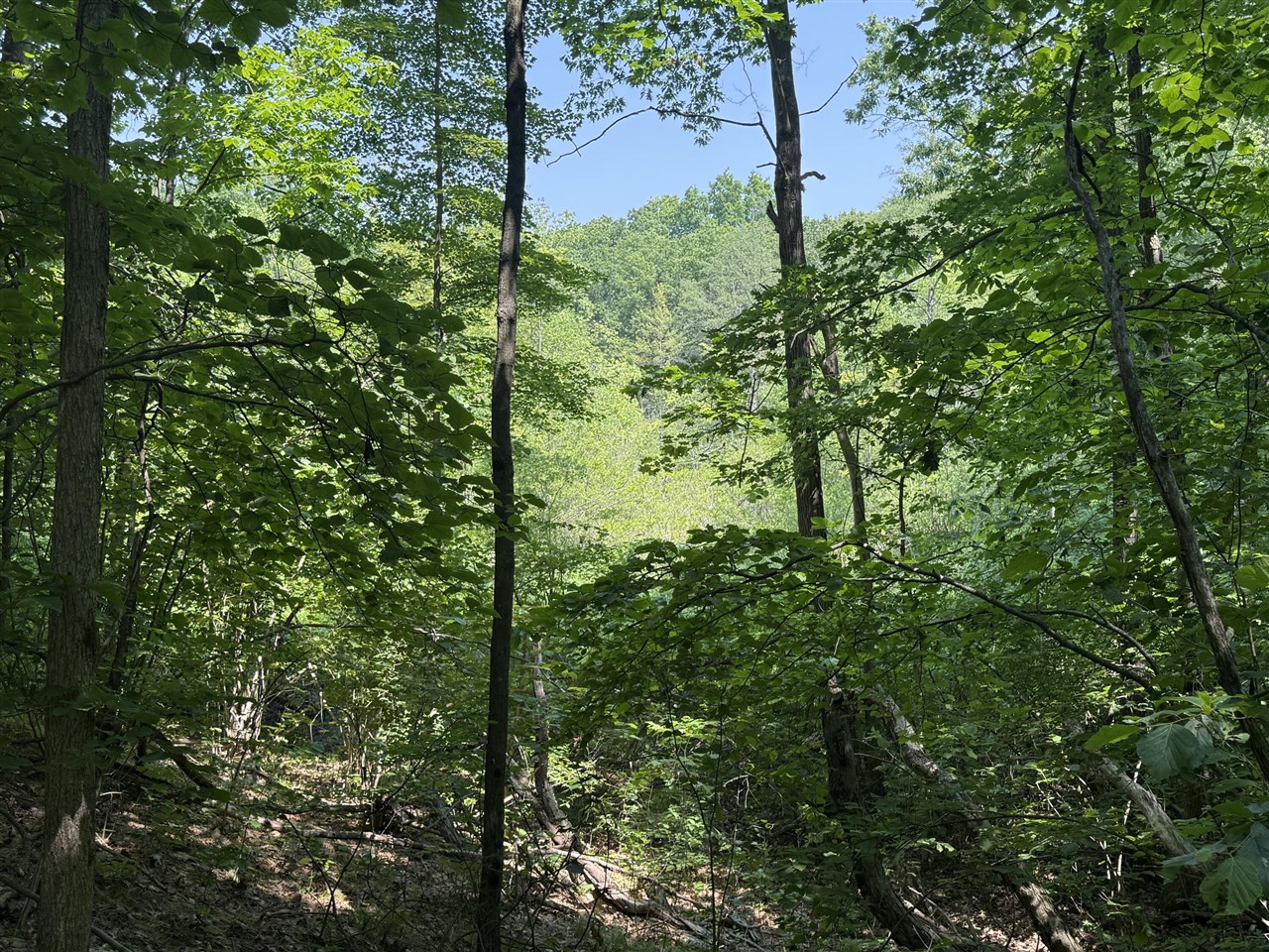 main property photo 23