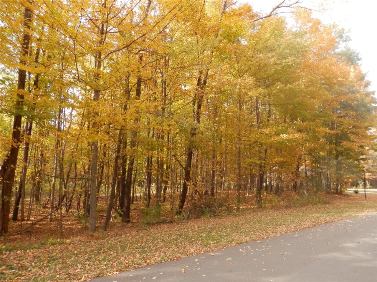 main property photo 0