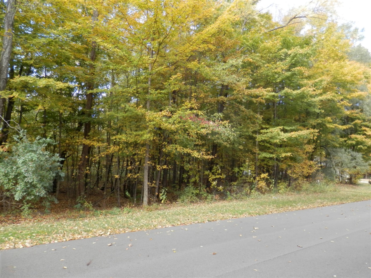 main property photo 5