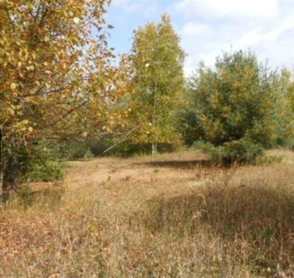 main property photo 0