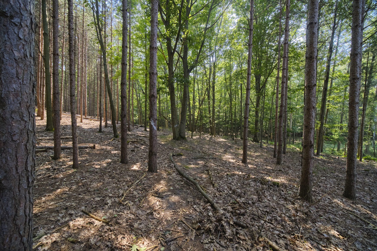 main property photo 54