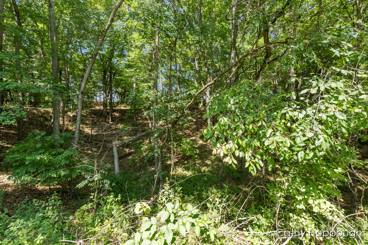 main property photo 67