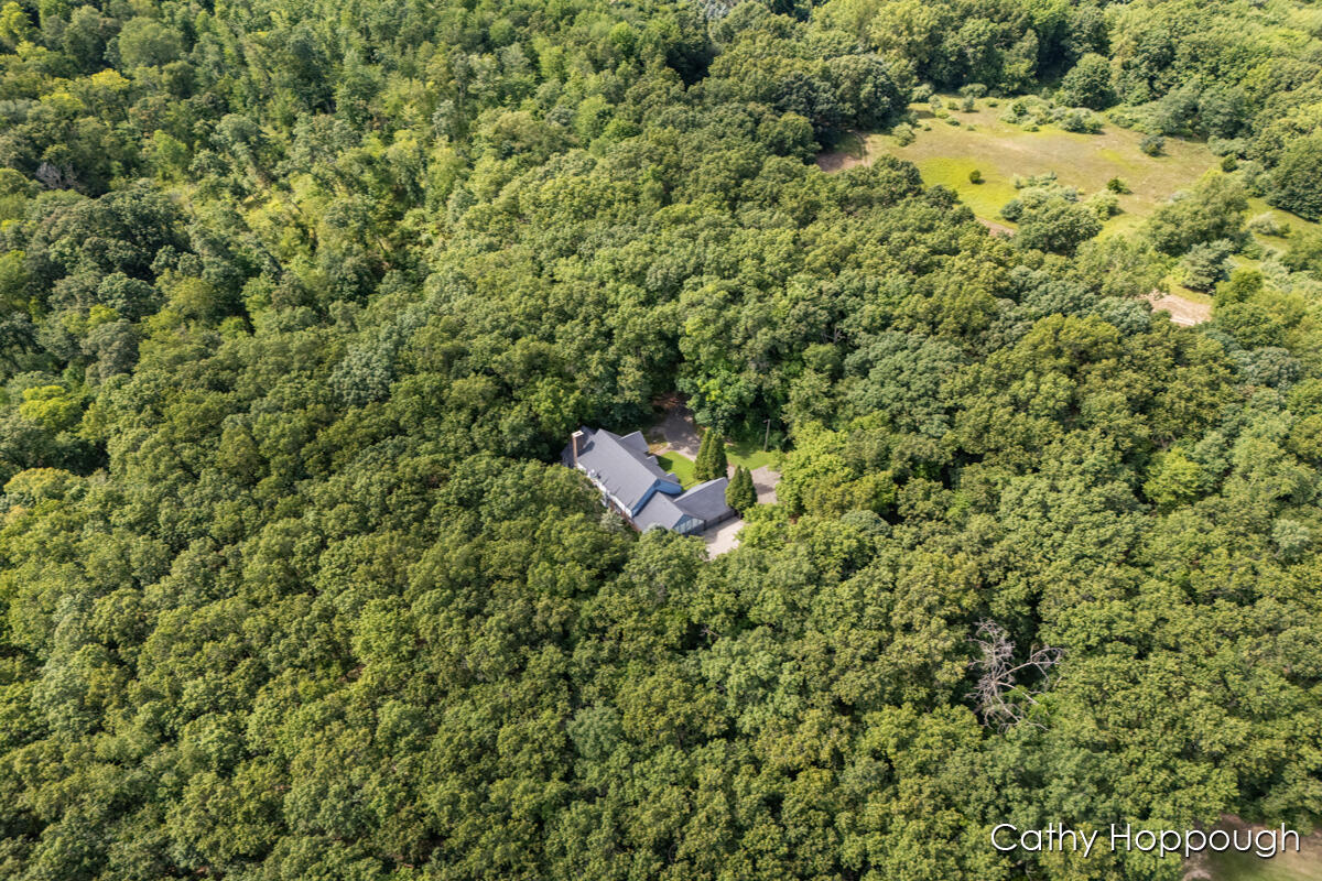 main property photo 74