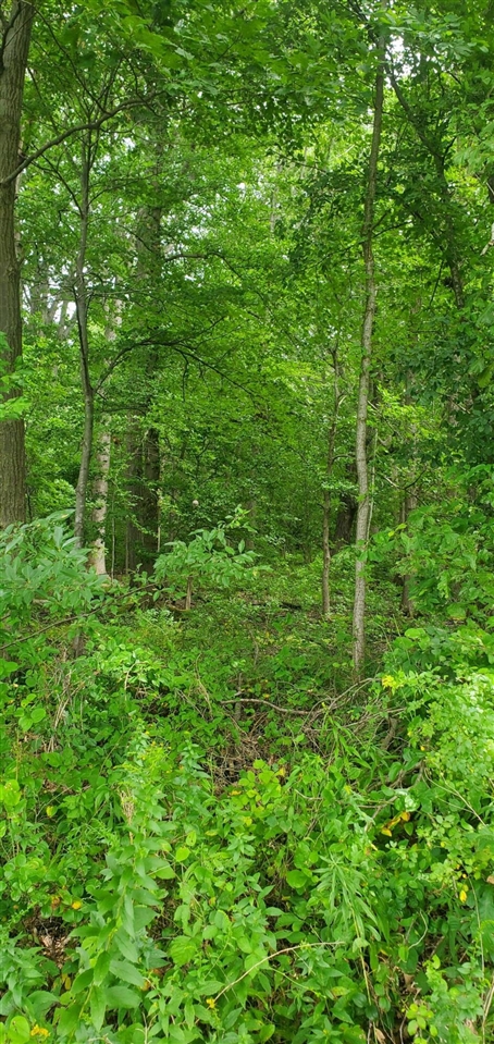 main property photo 10