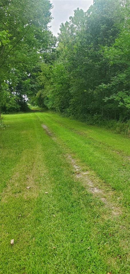 main property photo 6