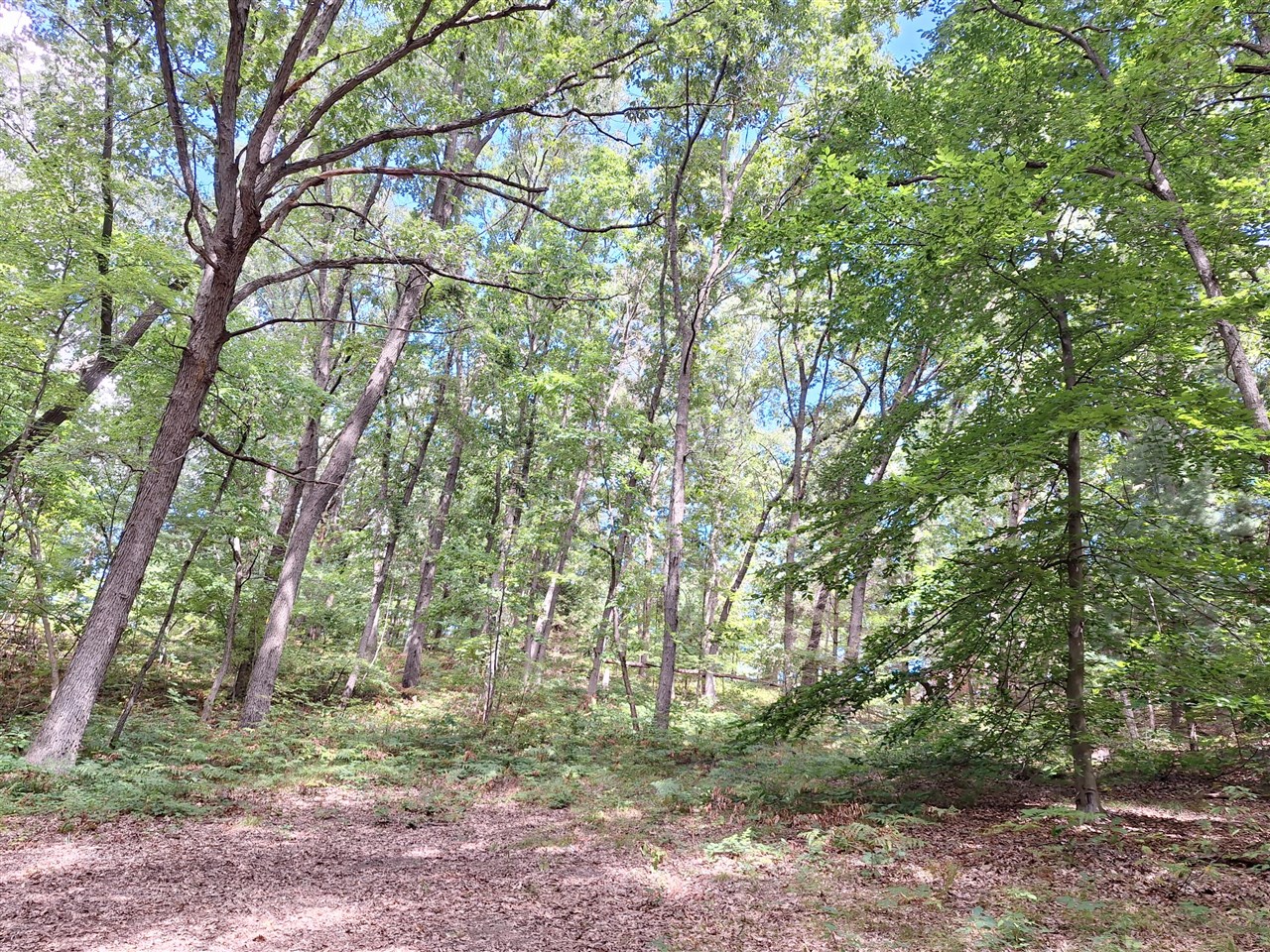 main property photo 35