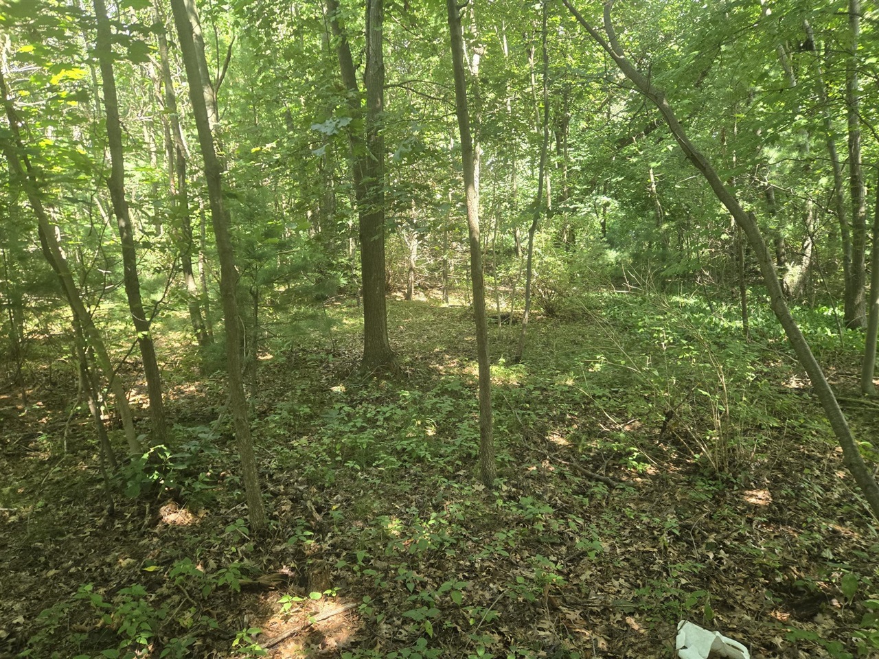 main property photo 0