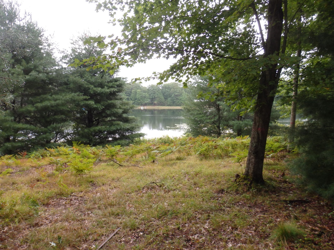 main property photo 0