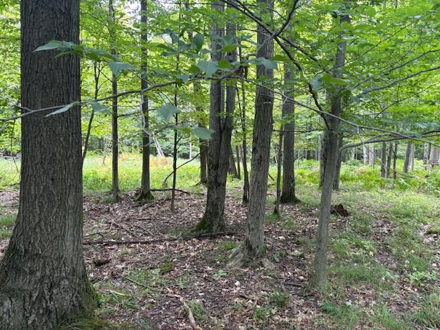 main property photo 0