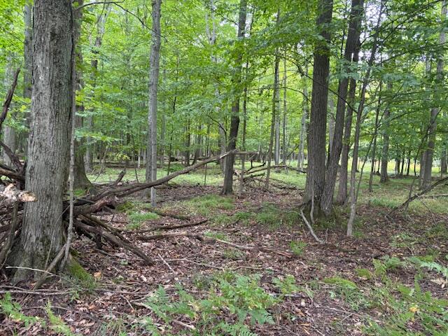 main property photo 11