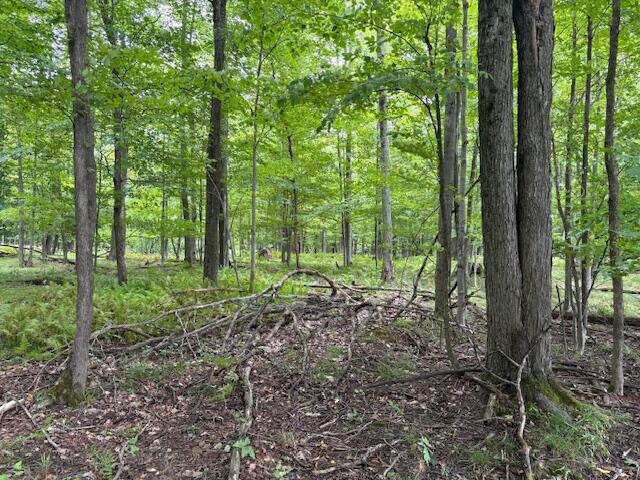 main property photo 12