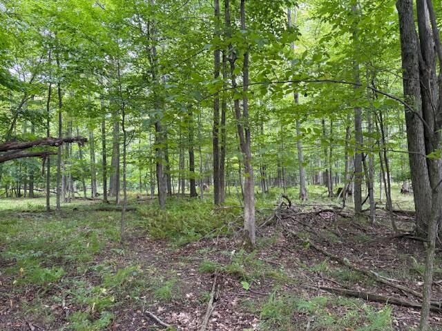 main property photo 9