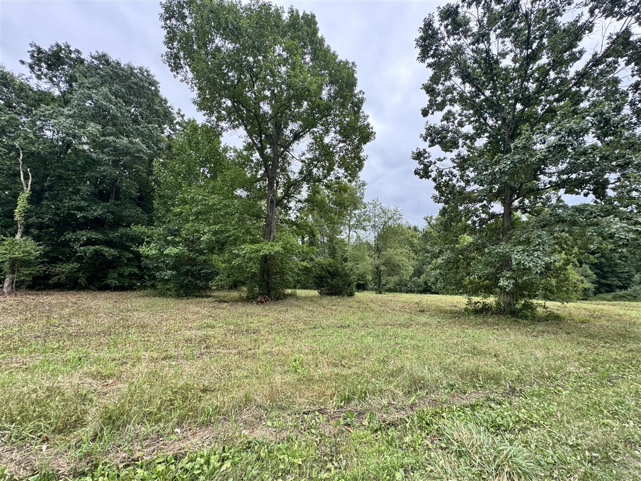main property photo 23