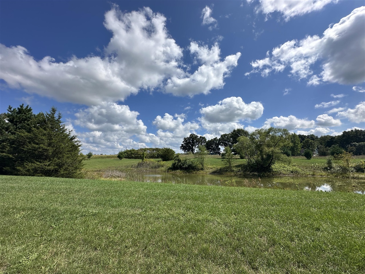 main property photo 10