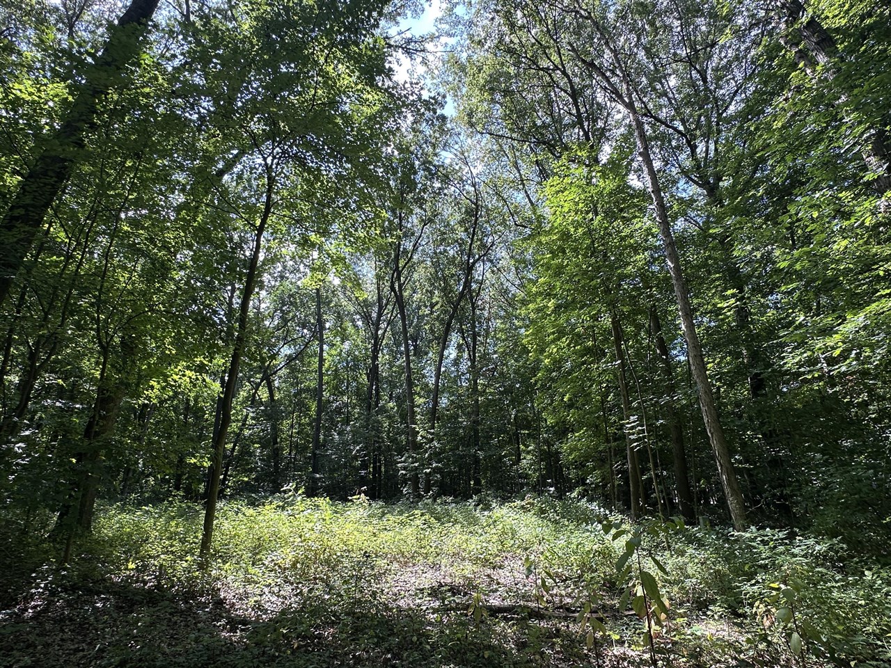 main property photo 6