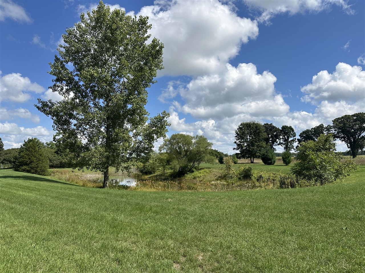 main property photo 7