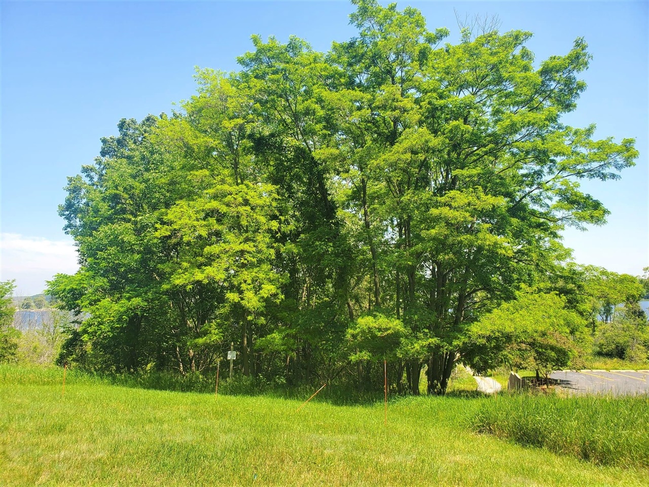 main property photo 0