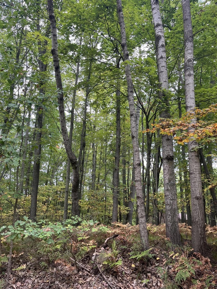 main property photo 0