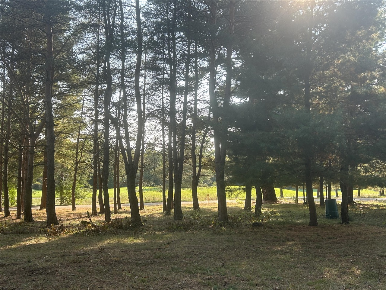 main property photo 8
