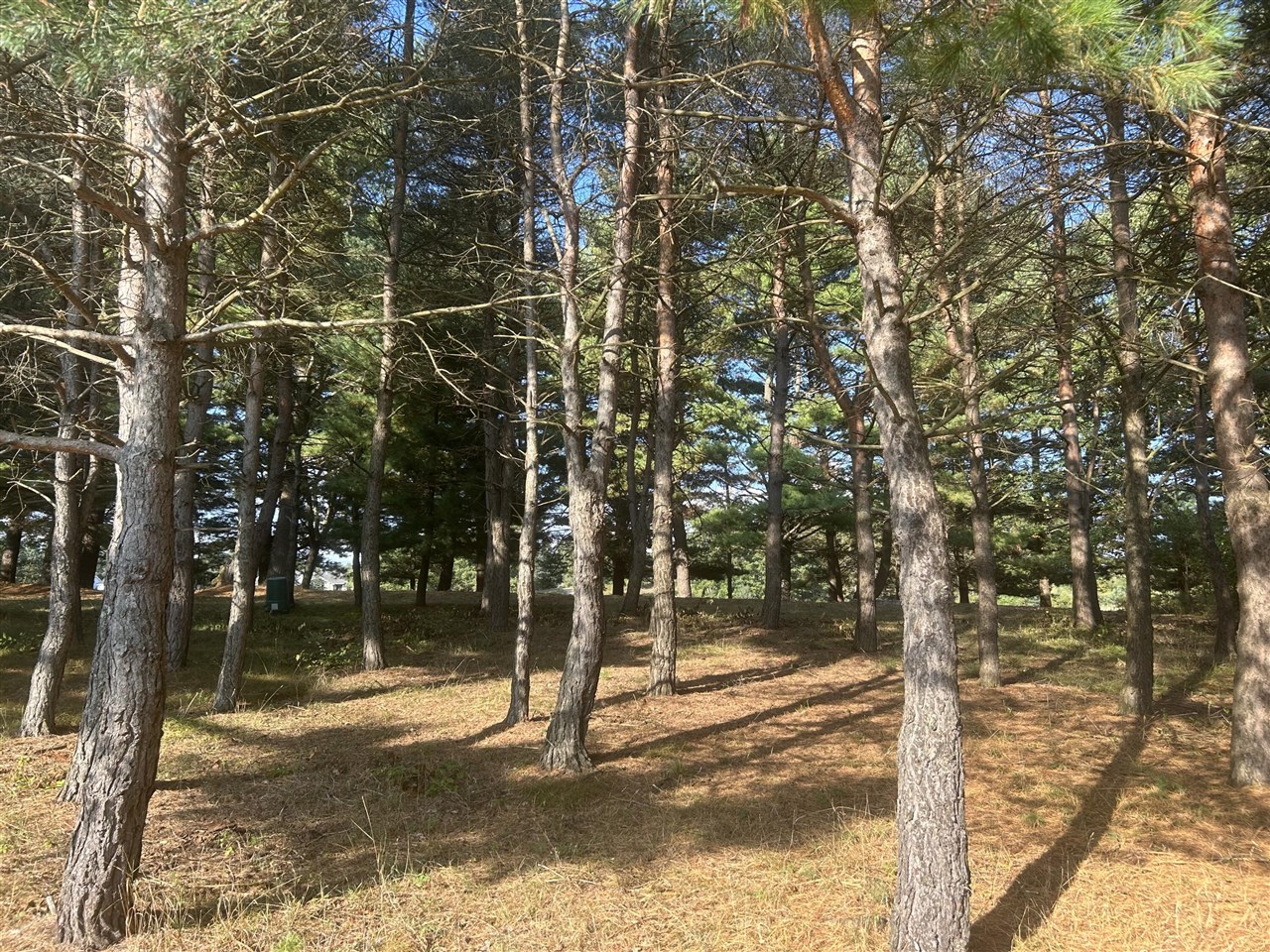 main property photo 9