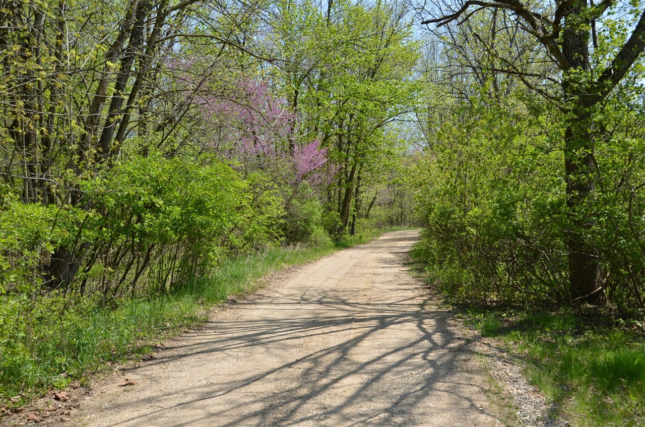 main property photo 44