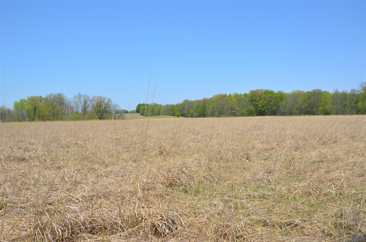 main property photo 50