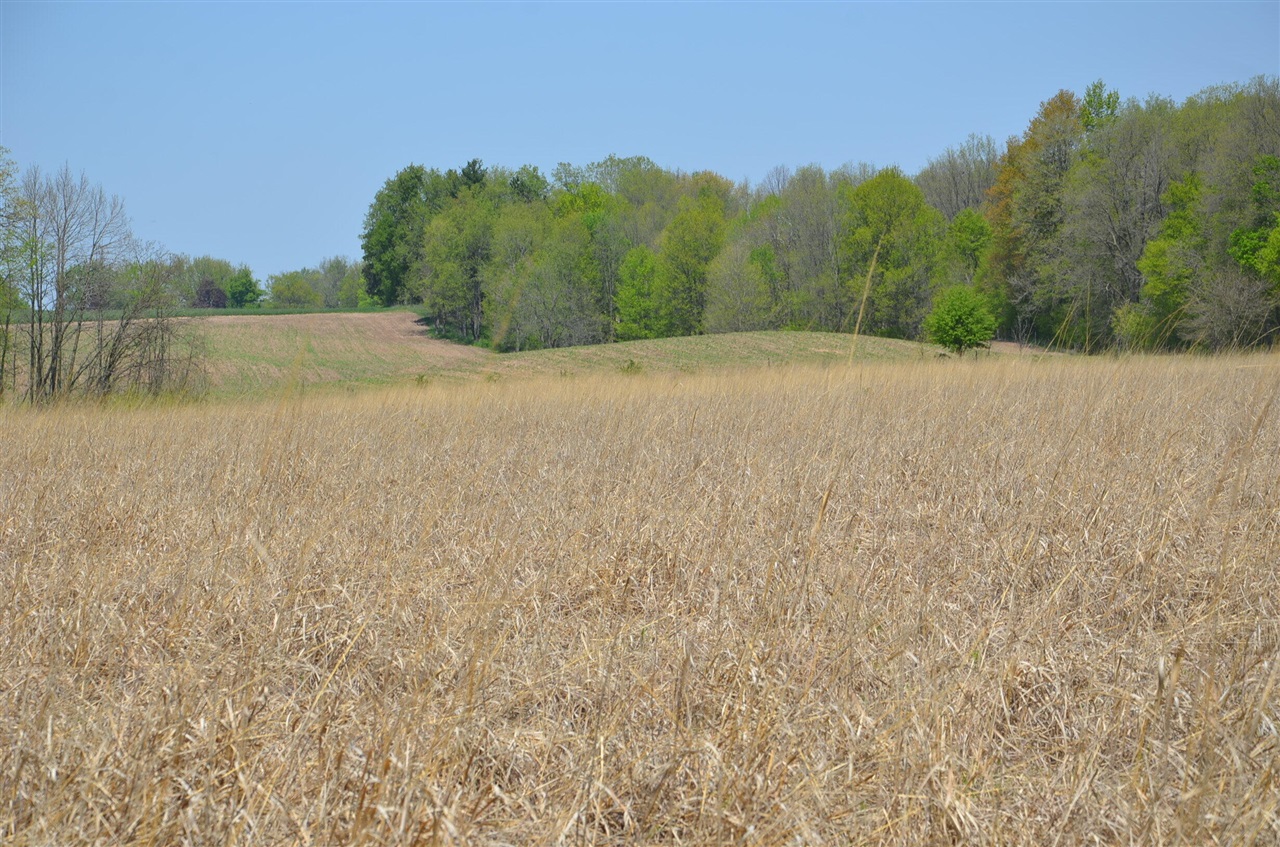 main property photo 51