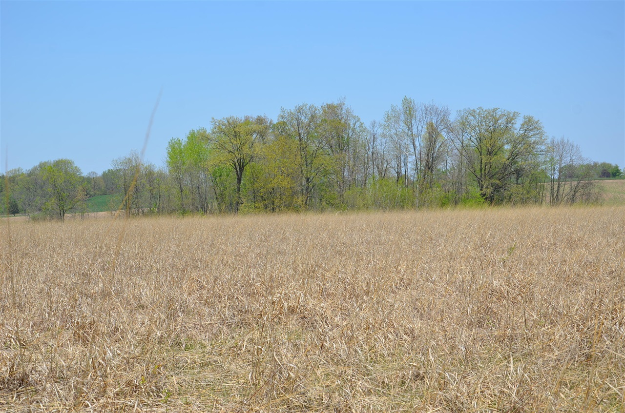 main property photo 52