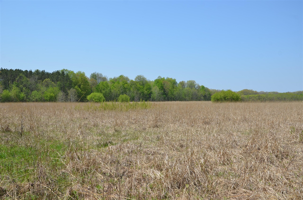 main property photo 53