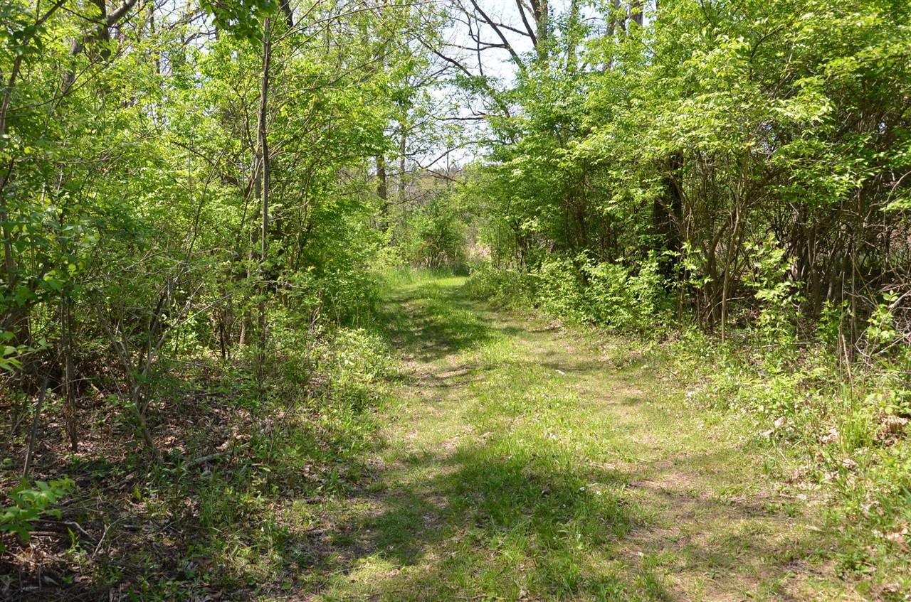 main property photo 54