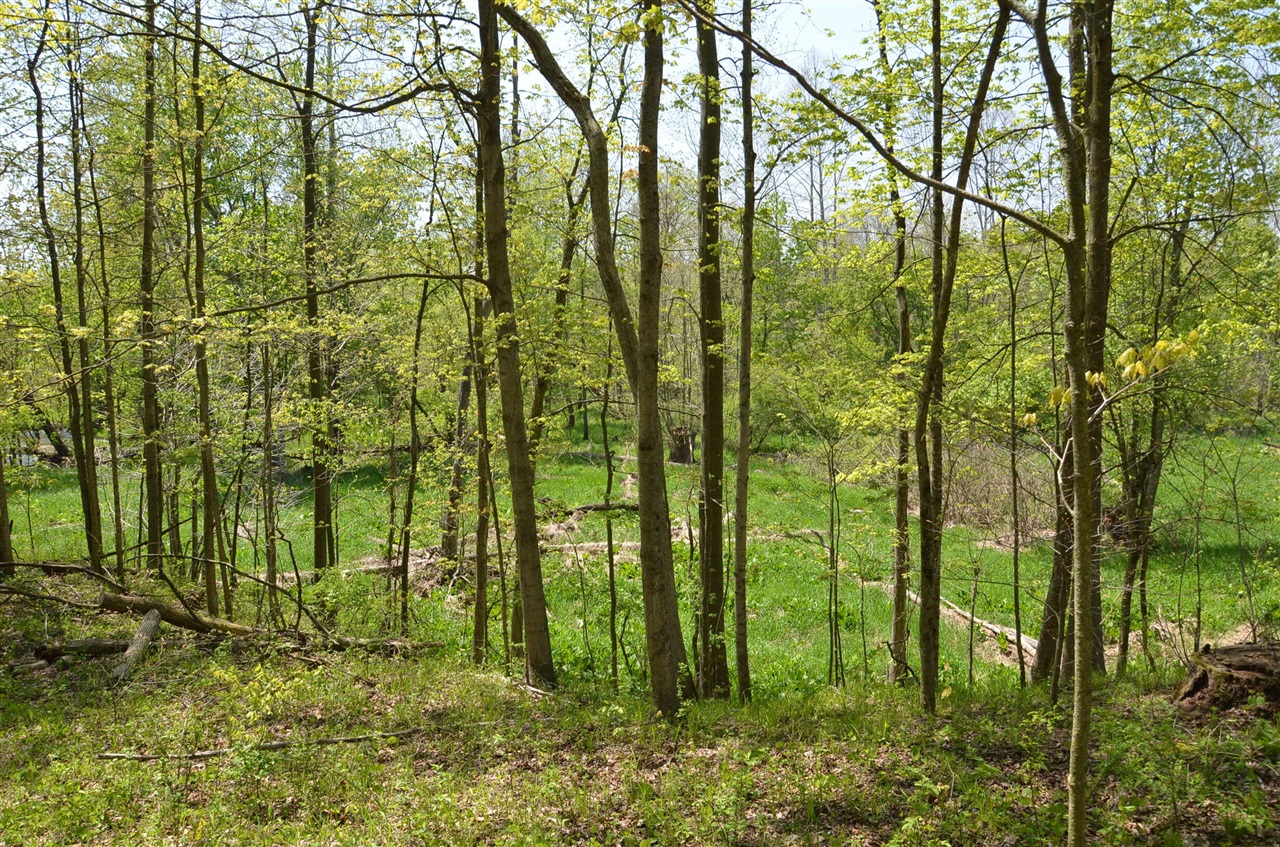 main property photo 56