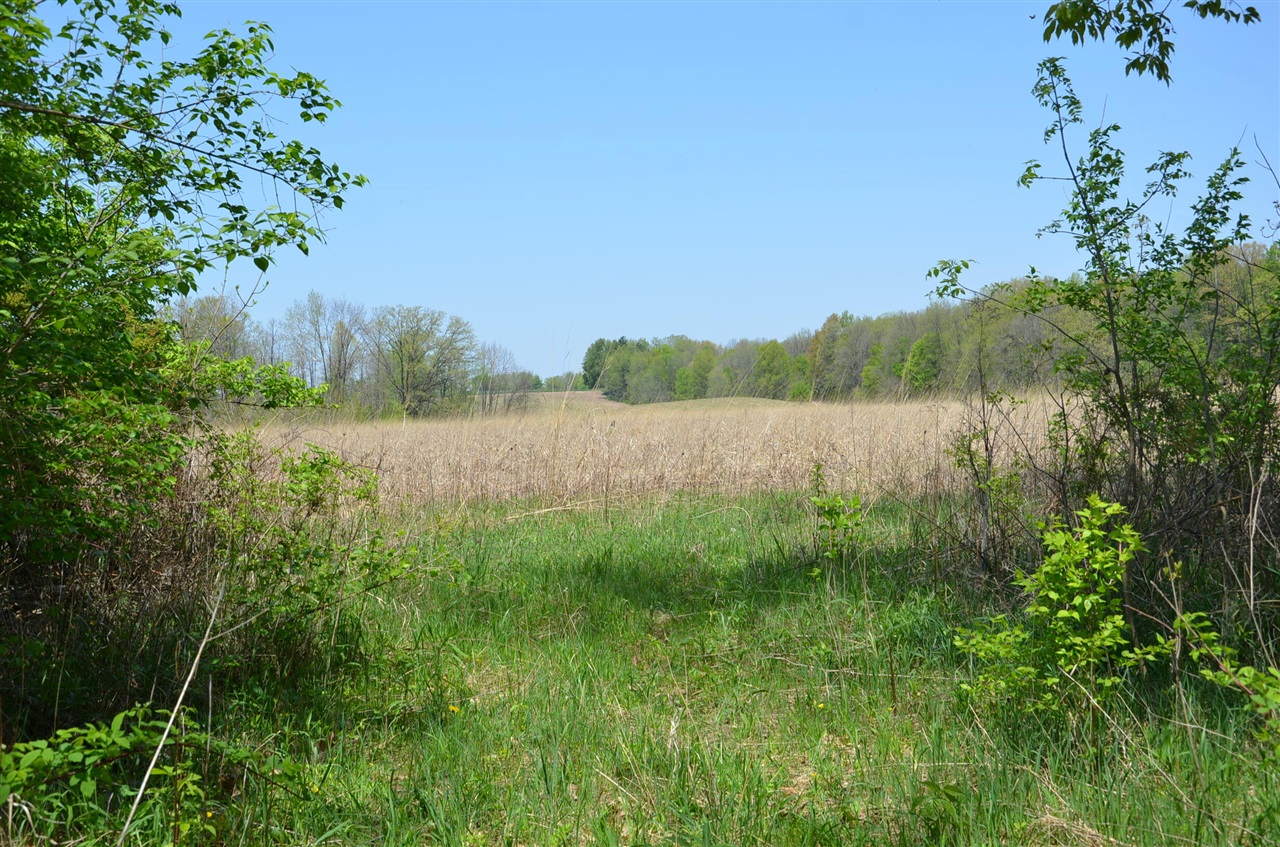 main property photo 57