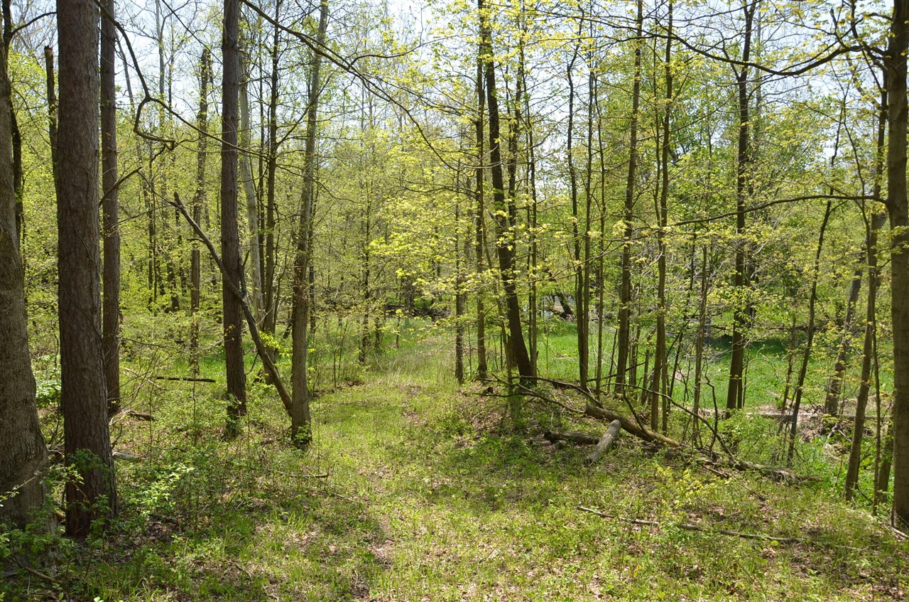 main property photo 60