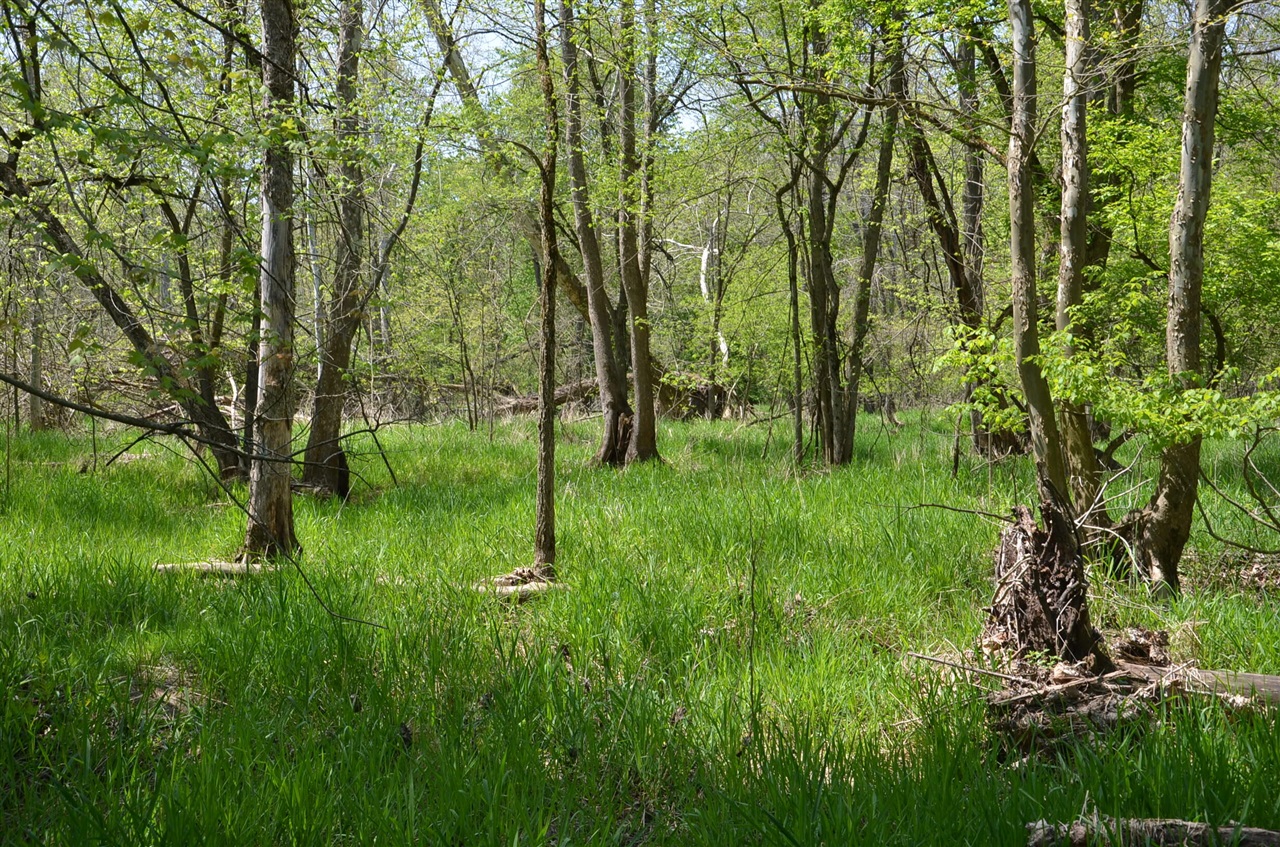 main property photo 64