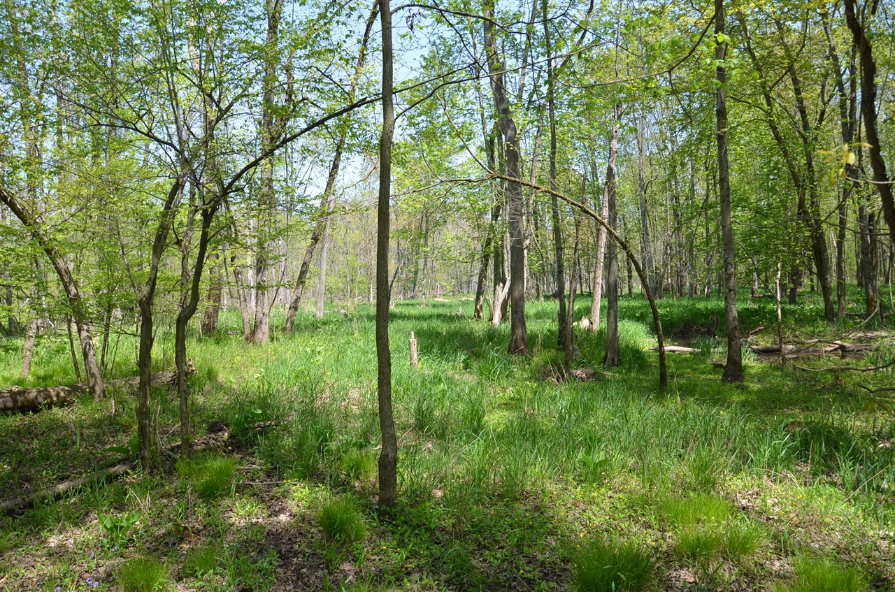 main property photo 66