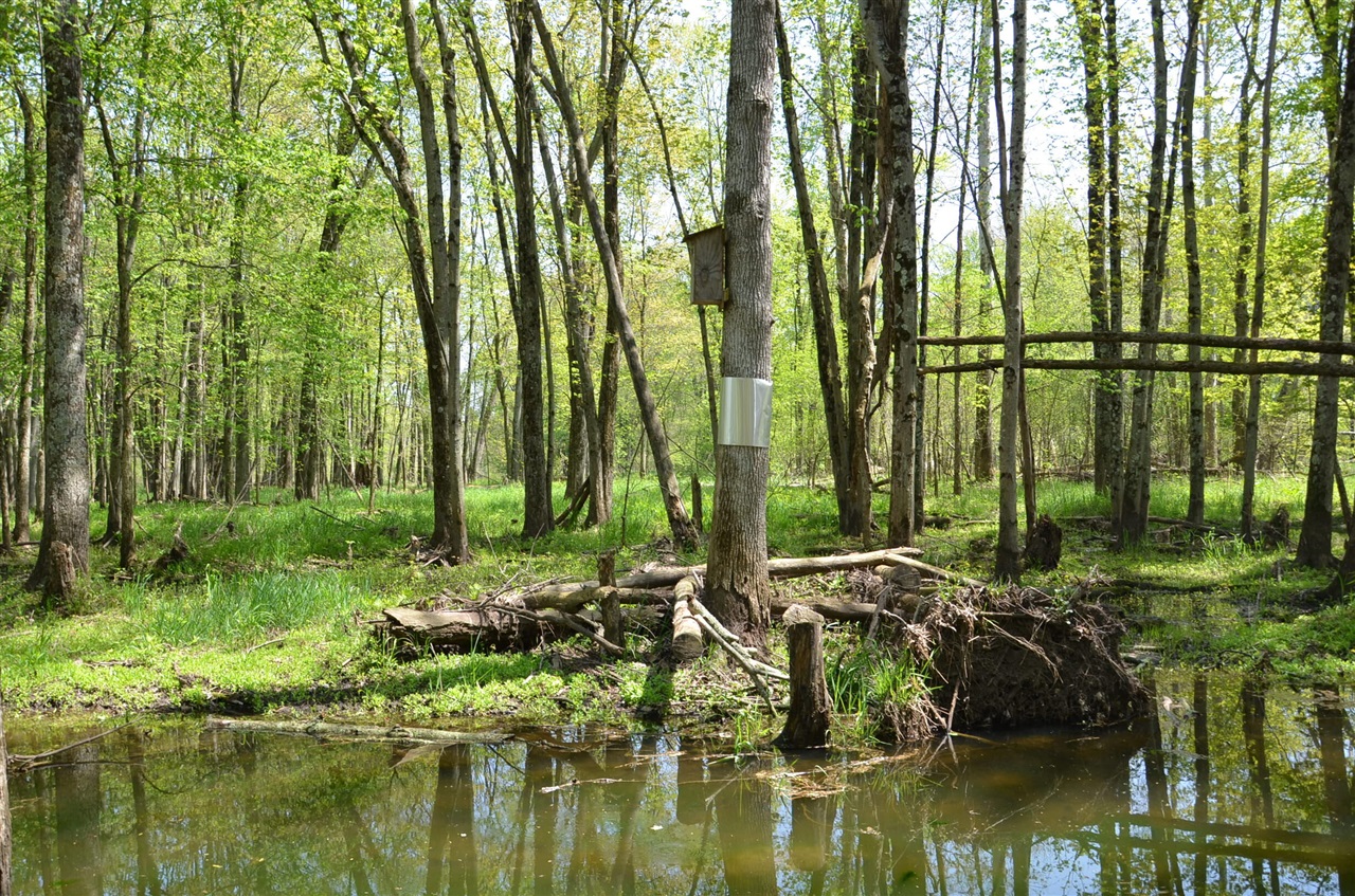 main property photo 68